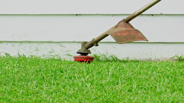 Best Root Management and Removal  in Rumson, NJ
