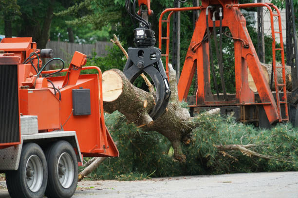Best Aeration Services  in Rumson, NJ